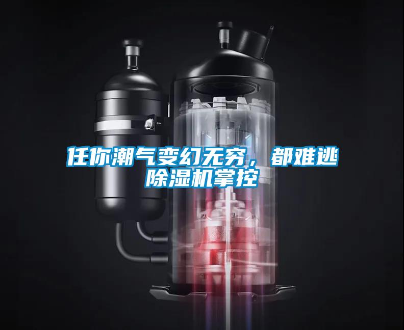 任你潮氣變幻無窮，都難逃除濕機(jī)掌控
