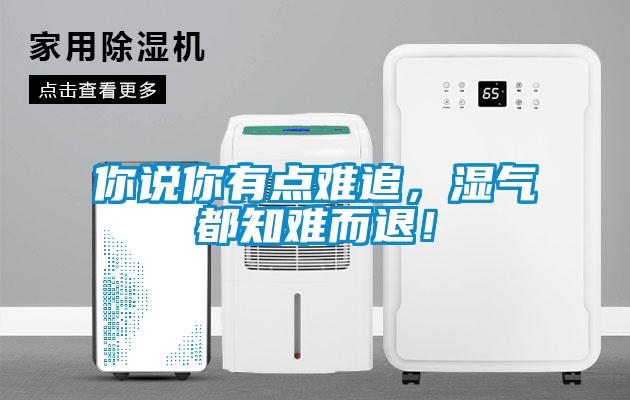 你說(shuō)你有點(diǎn)難追，濕氣都知難而退！