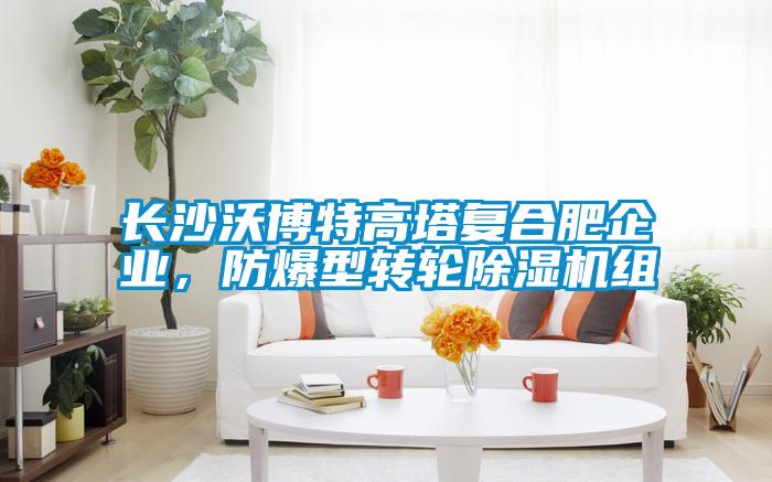 長沙沃博特高塔復(fù)合肥企業(yè)，防爆型轉(zhuǎn)輪除濕機組