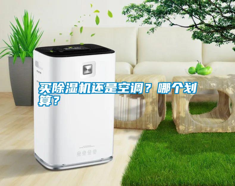 買除濕機還是空調？哪個劃算？