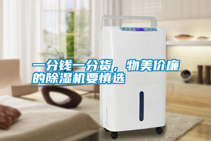 一分錢一分貨，物美價(jià)廉的除濕機(jī)要慎選