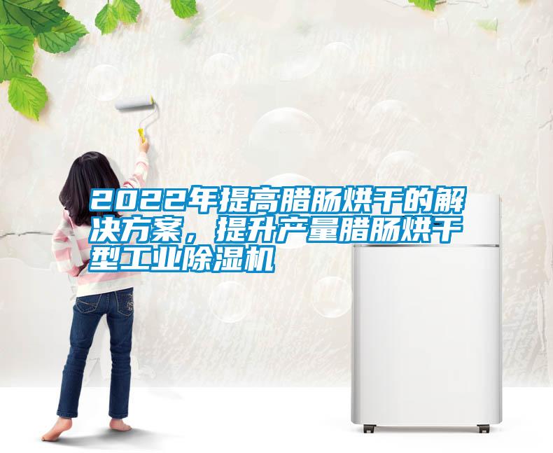 2022年提高臘腸烘干的解決方案，提升產(chǎn)量臘腸烘干型工業(yè)除濕機(jī)