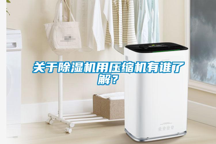 關(guān)于除濕機用壓縮機有誰了解？