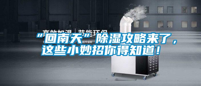“回南天”除濕攻略來了，這些小妙招你得知道！