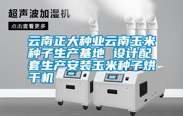 云南正大種業(yè)云南玉米種子生產基地 設計配套生產安裝玉米種子烘干機