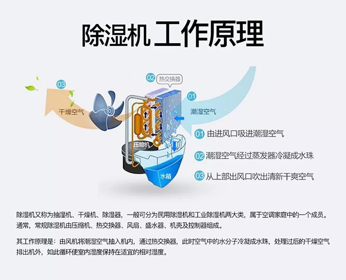 潮濕天氣狗最容易患上這種毛病！三個(gè)注意事項(xiàng)，鏟屎官一定要看看