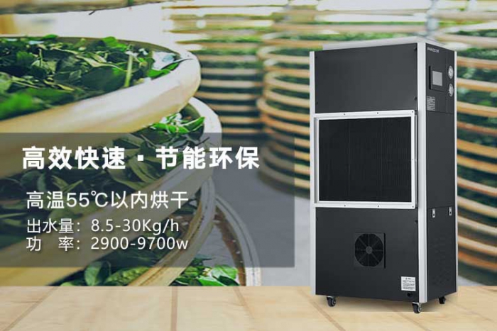 潮濕天氣來襲，螨蟲爆滿床！