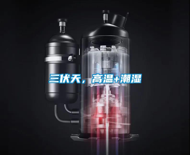 三伏天，高溫+潮濕