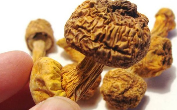 巴西菇、姬松茸烘干機(jī)-怎樣烘干色澤好且菇體褶片完整？