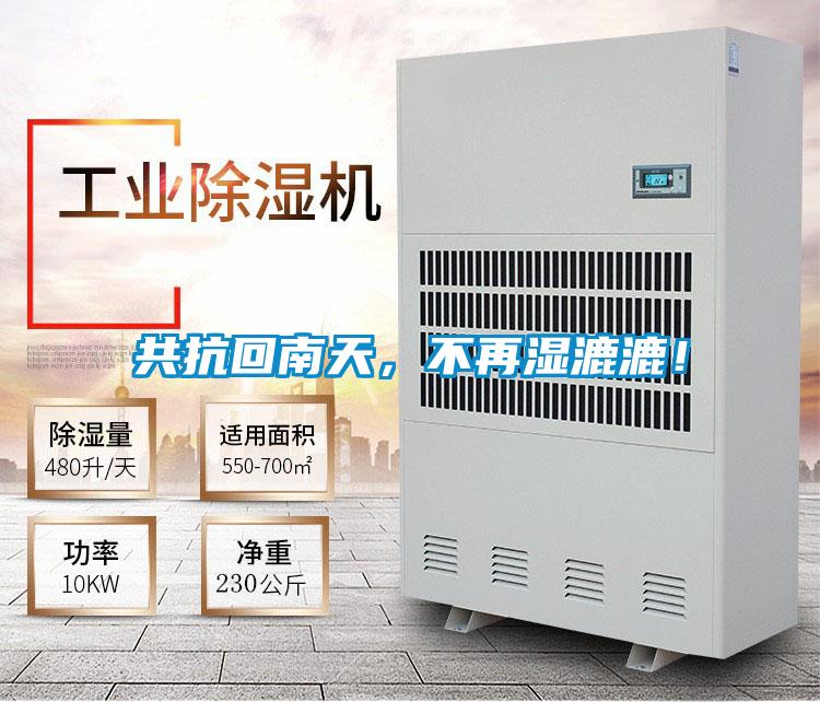 共抗回南天，不再濕漉漉！
