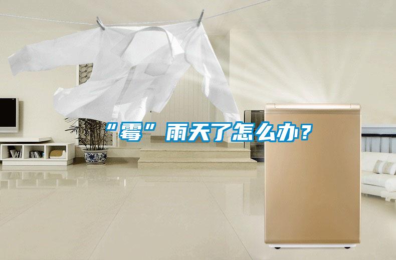 “霉”雨天了怎么辦？