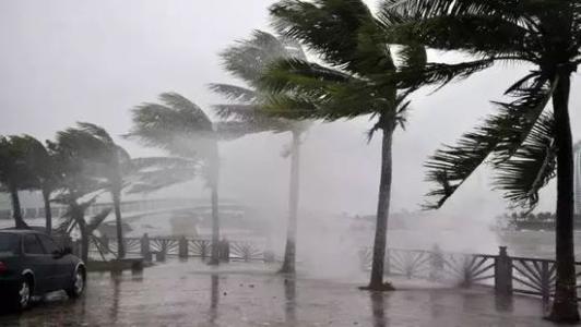 8月臺風(fēng)雨即將來，除濕機還得用起來