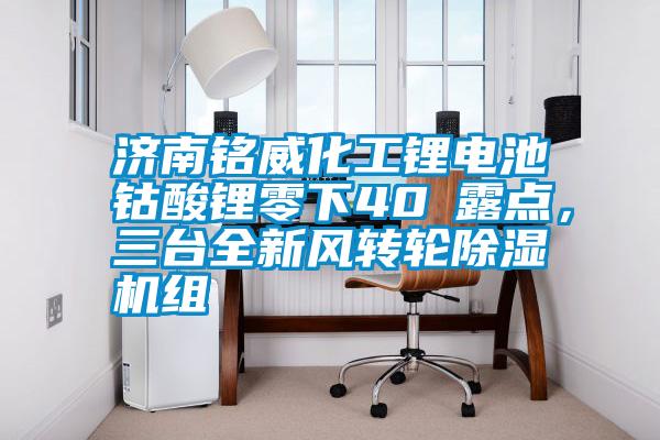 濟(jì)南銘威化工鋰電池鈷酸鋰零下40℃露點(diǎn),三臺(tái)全新風(fēng)轉(zhuǎn)輪除濕機(jī)組