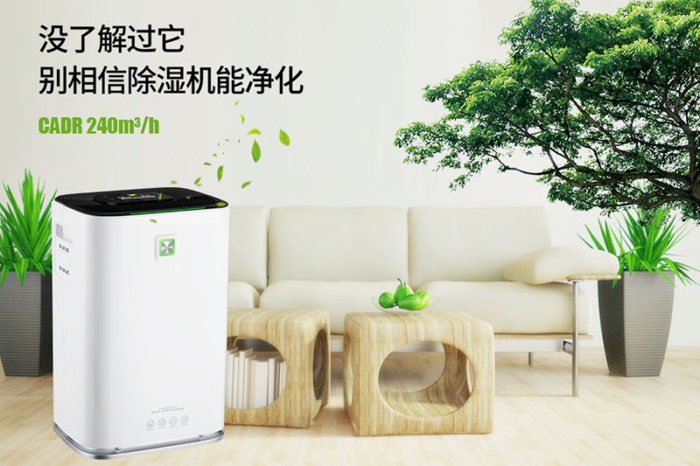 一到回南天狗狗就感冒+皮膚病，怎么辦？
