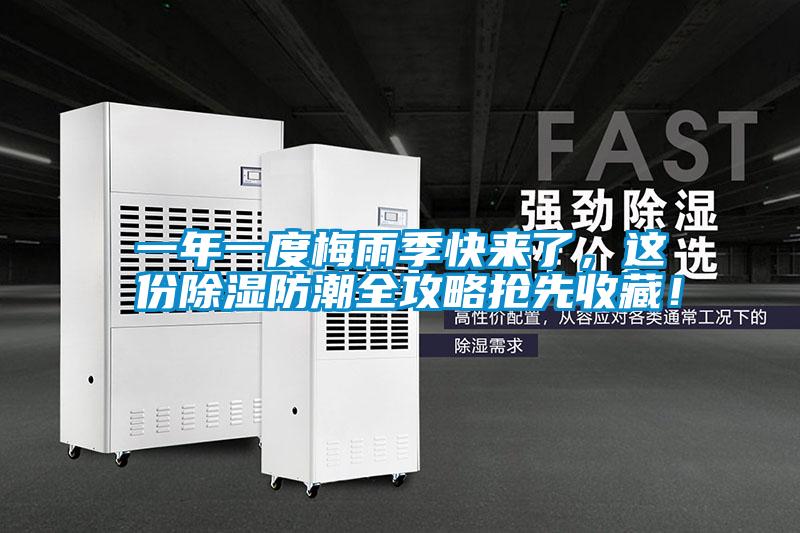 一年一度梅雨季快來了，這份除濕防潮全攻略搶先收藏！