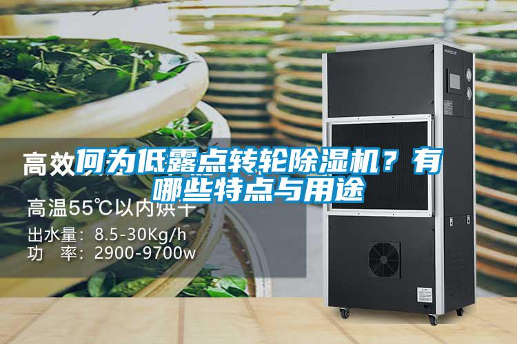 何為低露點(diǎn)轉(zhuǎn)輪除濕機(jī)？有哪些特點(diǎn)與用途