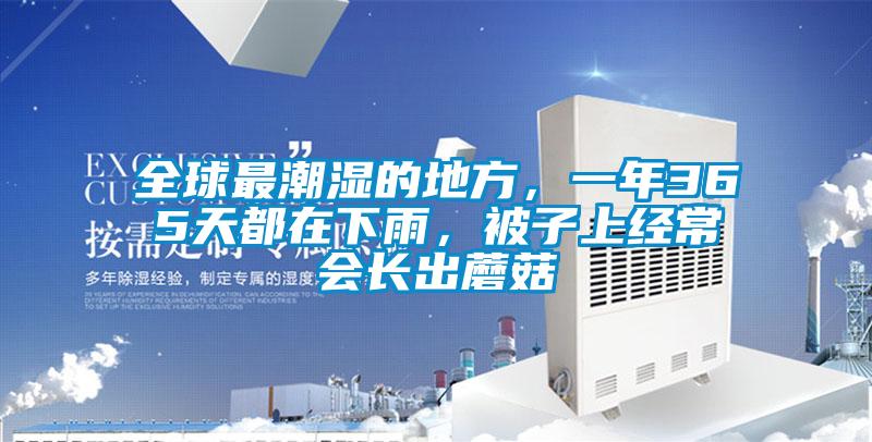 全球最潮濕的地方，一年365天都在下雨，被子上經(jīng)常會長出蘑菇