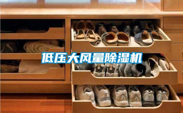 低壓大風(fēng)量除濕機