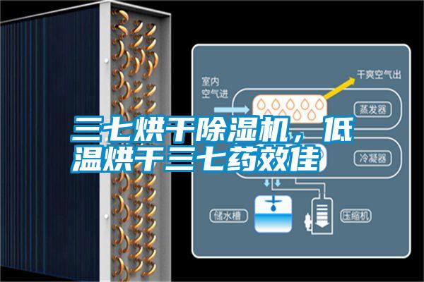 三七烘干除濕機，低溫烘干三七藥效佳