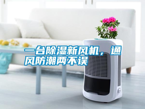 一臺(tái)除濕新風(fēng)機(jī)，通風(fēng)防潮兩不誤