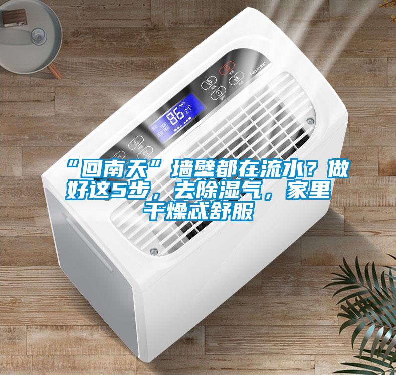 “回南天”墻壁都在流水？做好這5步，去除濕氣，家里干燥忒舒服