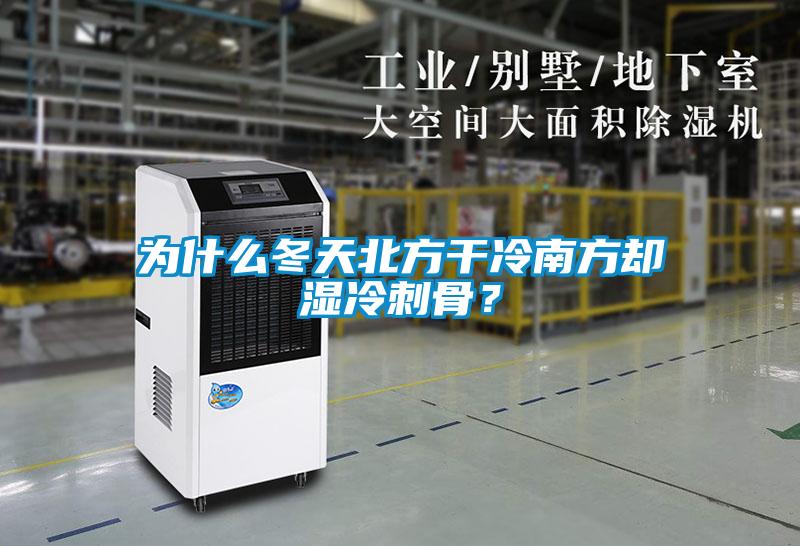 為什么冬天北方干冷南方卻濕冷刺骨？