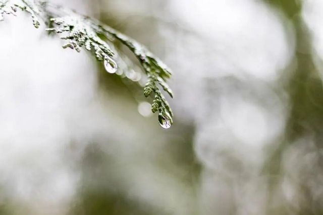 空氣濕度大帶來的危害有哪些，你知道嗎？