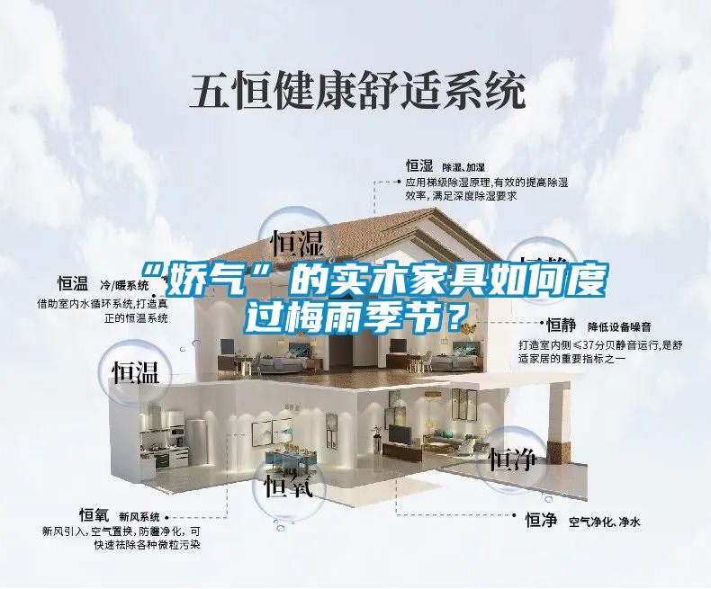 “嬌氣”的實木家具如何度過梅雨季節(jié)？