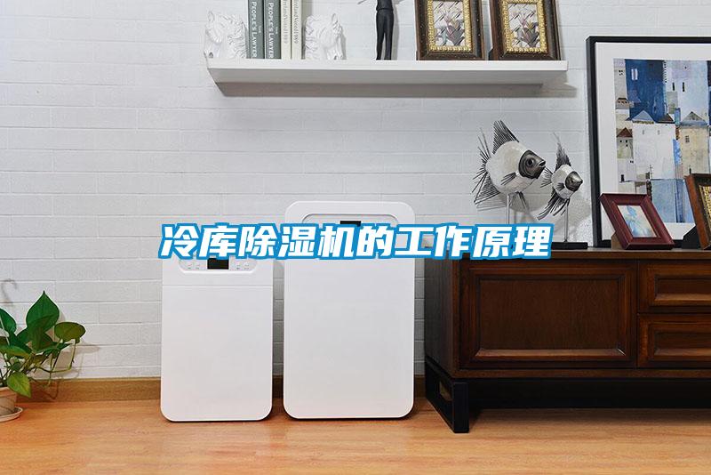 冷庫(kù)除濕機(jī)的工作原理