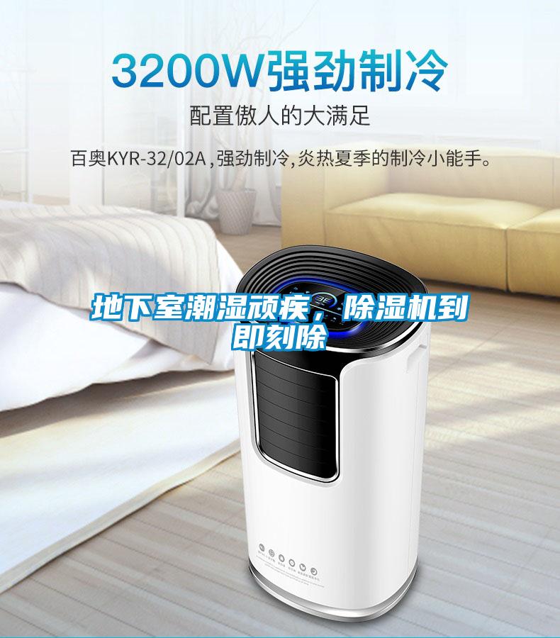 地下室潮濕頑疾，除濕機到即刻除