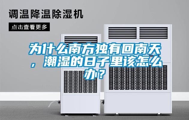 為什么南方獨(dú)有回南天，潮濕的日子里該怎么辦？