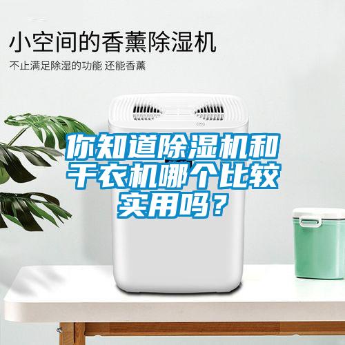 你知道除濕機(jī)和干衣機(jī)哪個(gè)比較實(shí)用嗎？