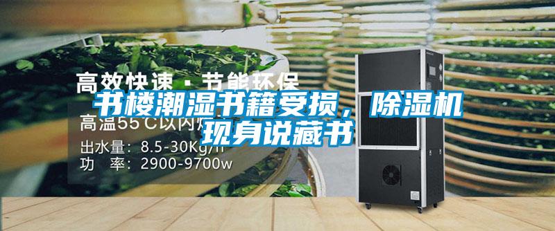 書樓潮濕書籍受損，除濕機現(xiàn)身說藏書