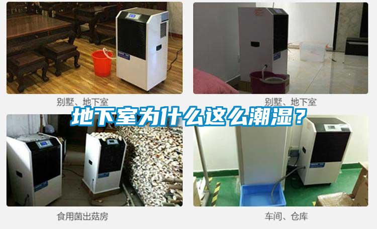 地下室為什么這么潮濕？