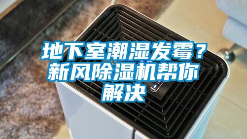 地下室潮濕發(fā)霉？新風(fēng)除濕機(jī)幫你解決