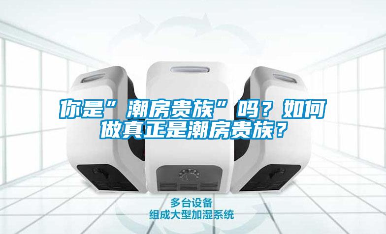 你是”潮房貴族”嗎？如何做真正是潮房貴族？