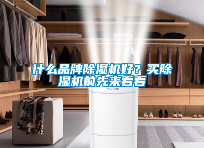 什么品牌除濕機好？買除濕機前先來看看