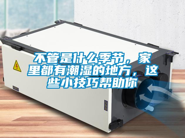 不管是什么季節(jié)，家里都有潮濕的地方，這些小技巧幫助你