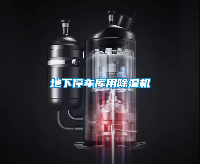 地下停車(chē)庫(kù)用除濕機(jī)