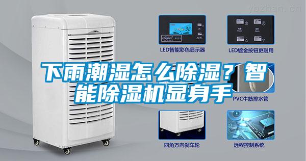 下雨潮濕怎么除濕？智能除濕機(jī)顯身手
