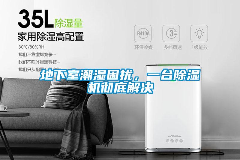 地下室潮濕困擾，一臺(tái)除濕機(jī)徹底解決