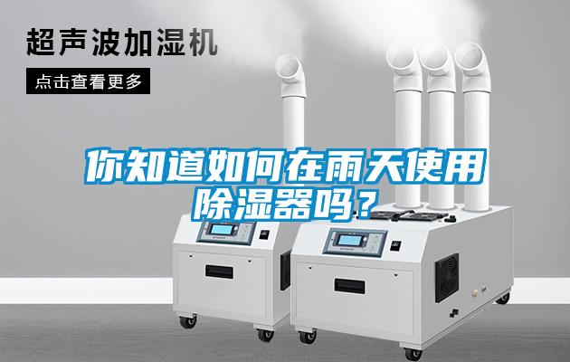 你知道如何在雨天使用除濕器嗎？