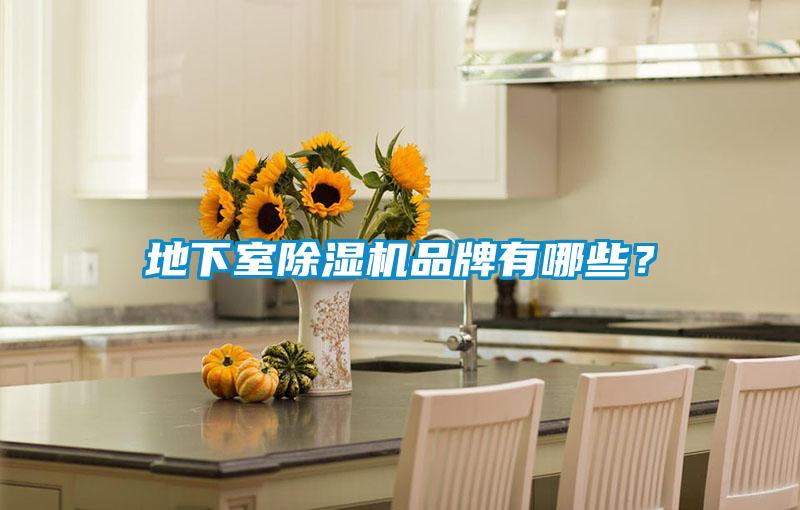 地下室除濕機(jī)品牌有哪些？