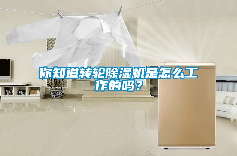 你知道轉(zhuǎn)輪除濕機是怎么工作的嗎？