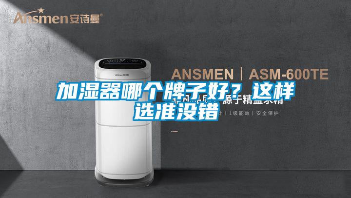 加濕器哪個牌子好？這樣選準(zhǔn)沒錯