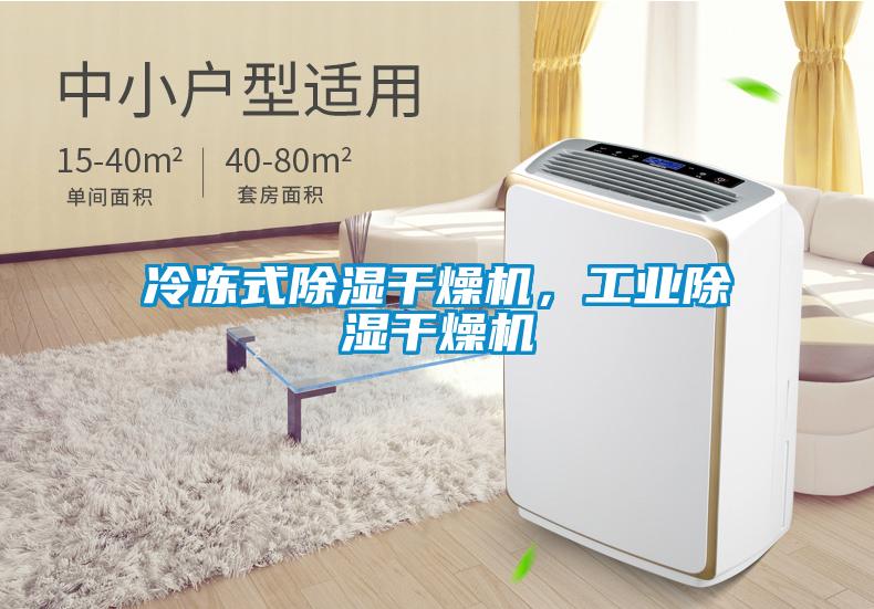 冷凍式除濕干燥機(jī)，工業(yè)除濕干燥機(jī)