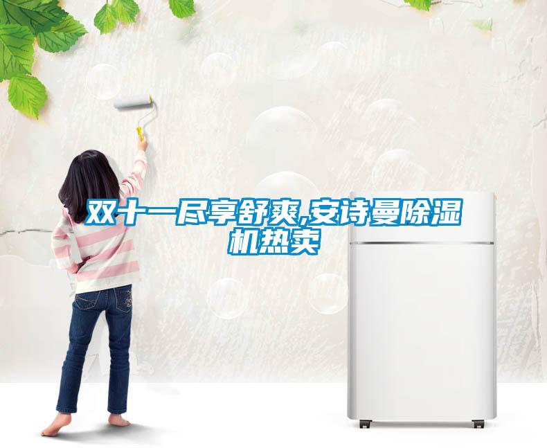 雙十一盡享舒爽,安詩(shī)曼除濕機(jī)熱賣(mài)