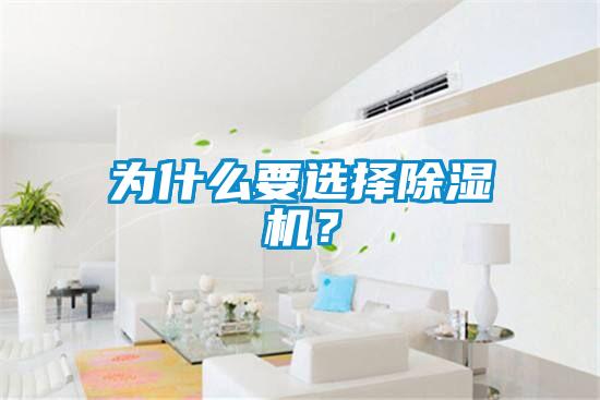 為什么要選擇除濕機？