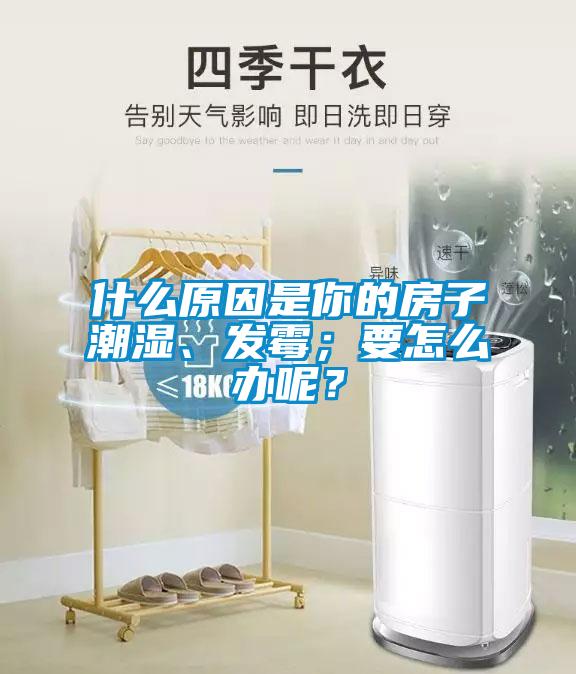 什么原因是你的房子潮濕、發(fā)霉；要怎么辦呢？