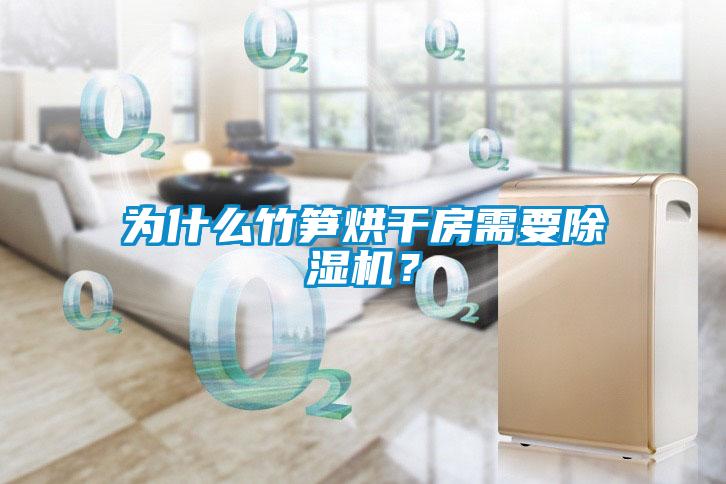 為什么竹筍烘干房需要除濕機(jī)？